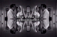 the Experiment